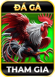 6ff 5