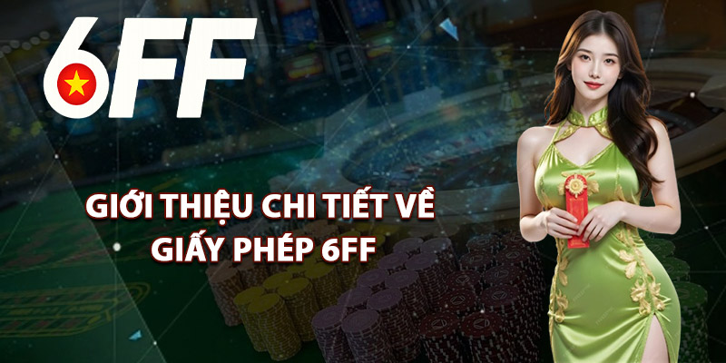 Giới Thiệu Chi Tiết Về Giấy Phép 6FF