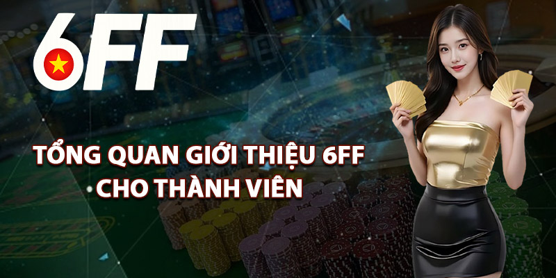 Tổng Quan Giới Thiệu 6FF Cho Thành Viên