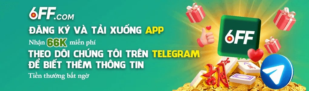 baner 6ff 1